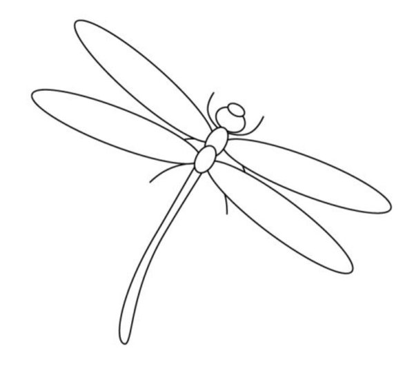 Стрекоза раскраска для детей