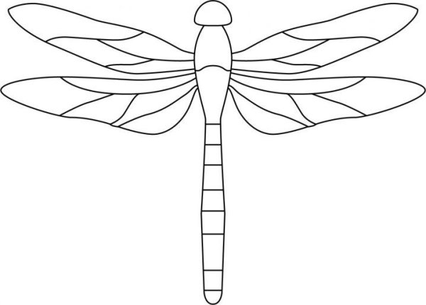 Стрекоза трафарет