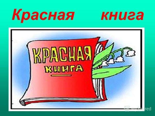 Эмблема красной книги