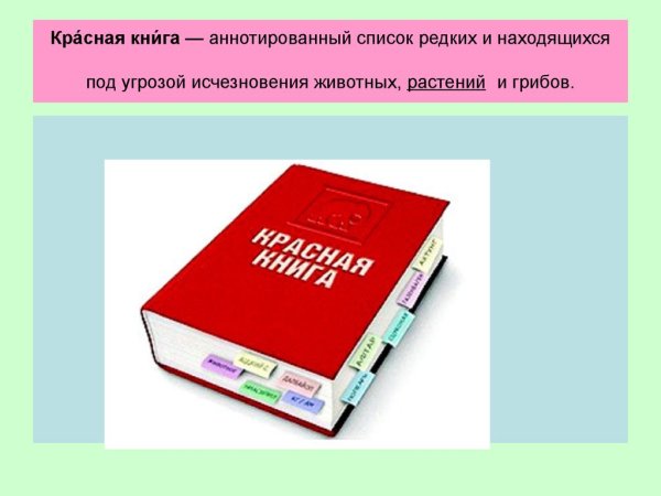 Красная книга значок
