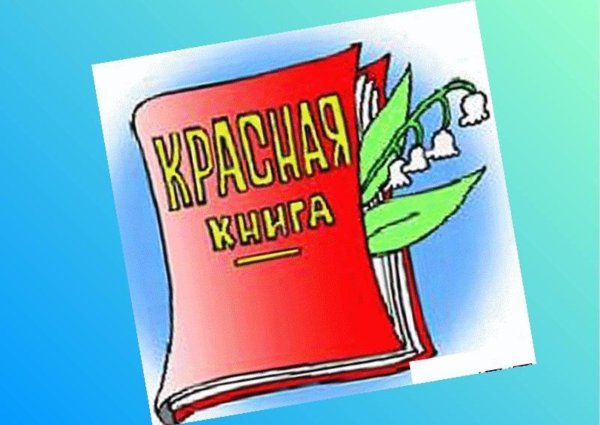 Красная книга фон