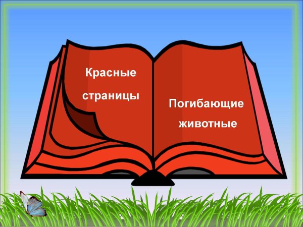 Красная книга иллюстрации