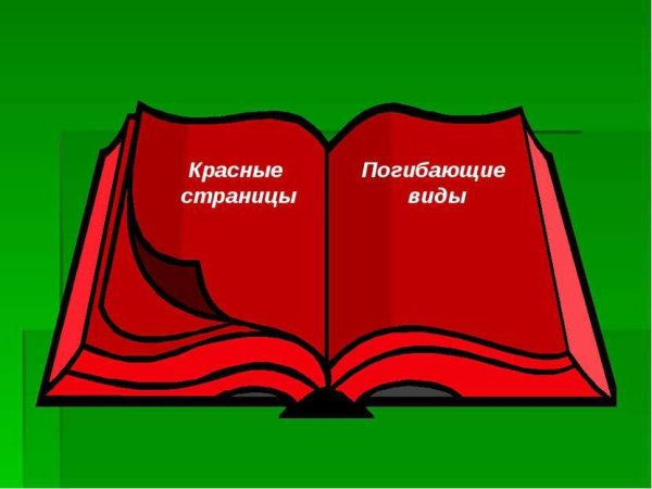 Красная книга рисунок для детей