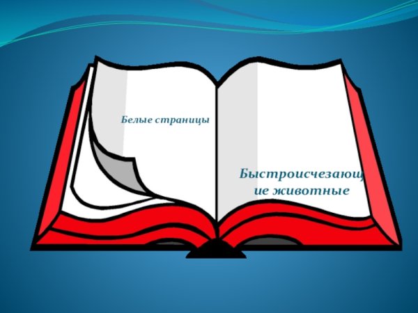 Животные и растения красной книги рисунки