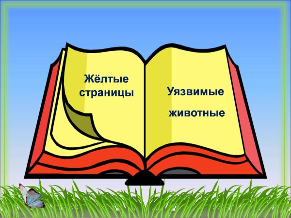 Рисунок на тему страницы красной книги