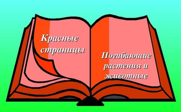 Красная книга