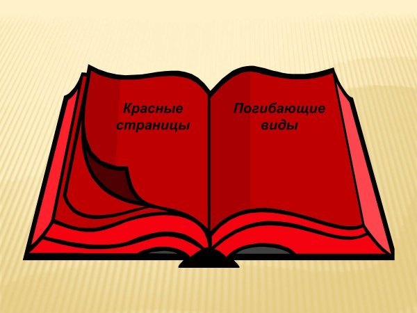 Международная красная книга обложка
