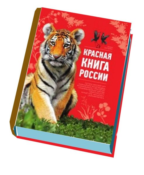 Рисунок на тему красная книга