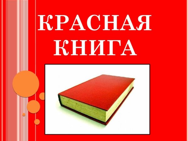 Рисунок на тему красная книга