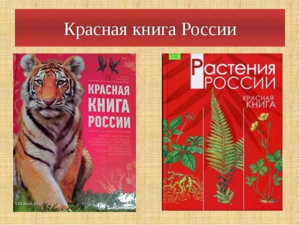 Книжки мультяшные