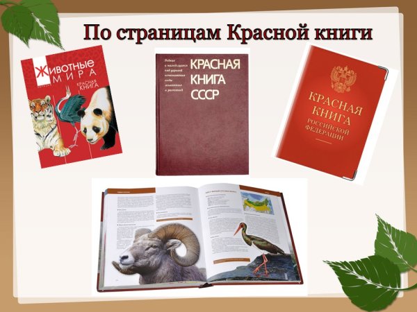 Раскрытая красная книга