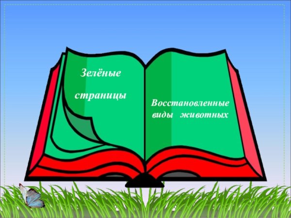 Цвета красной книги