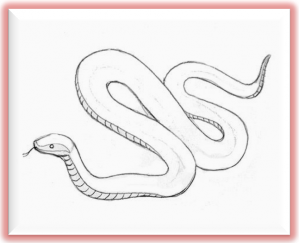 Уж рисунок карандашом