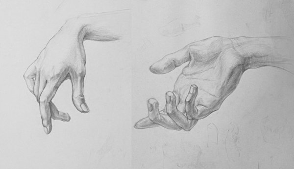 Академические зарисовки рук