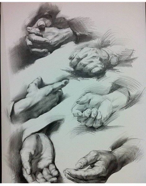 Академический рисунок руки