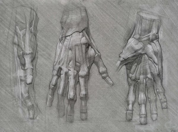 Наброски рук