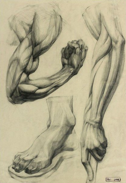 Руки Графика карандашом