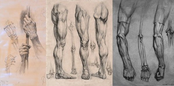 Академический рисунок руки