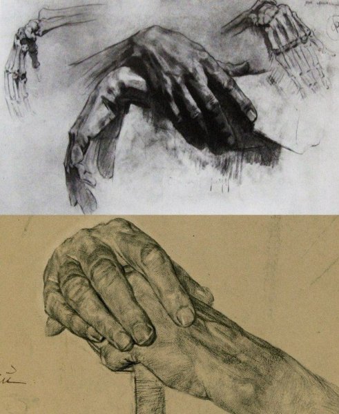 Академическое построение рук