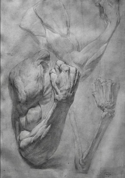 Экорше кисти руки