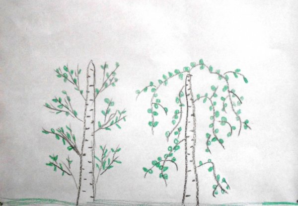 Живые организмы обитатели в тундре