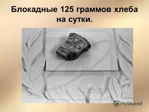 Вес блокадного хлеба