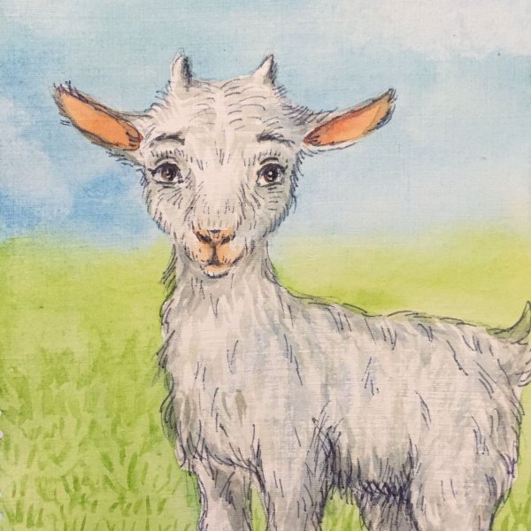 Милые козлики рисунки