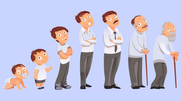 Человек растет