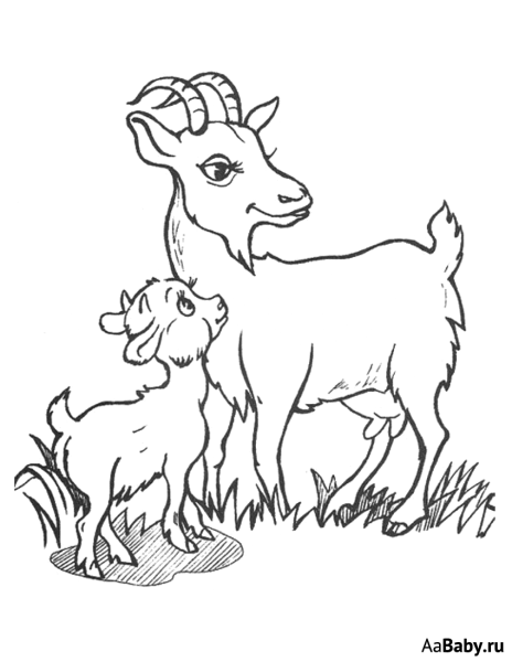 Козочка для детей