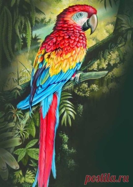 Экзотические птицы живопись