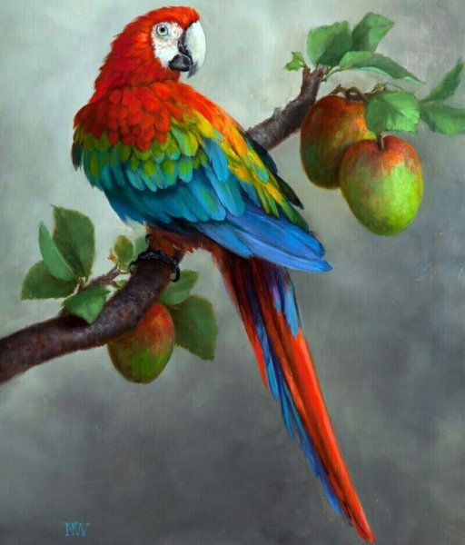 Акварельная живопись попугаи ара жако