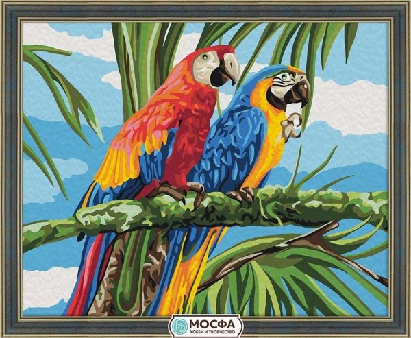 Рисование по номерам попугаи