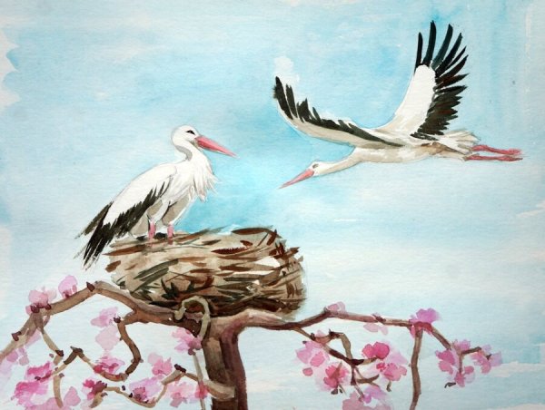 Аист с ребенком