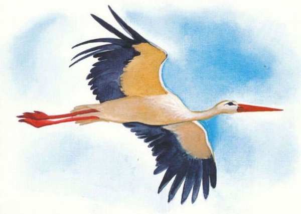 Аист несет ребенка