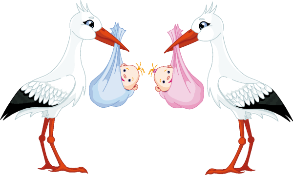 Аист раскраска для детей