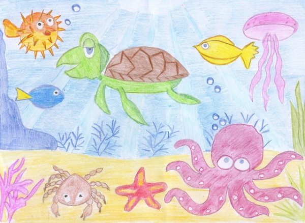 Рисование морские обитатели