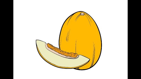 Дыня раскраска