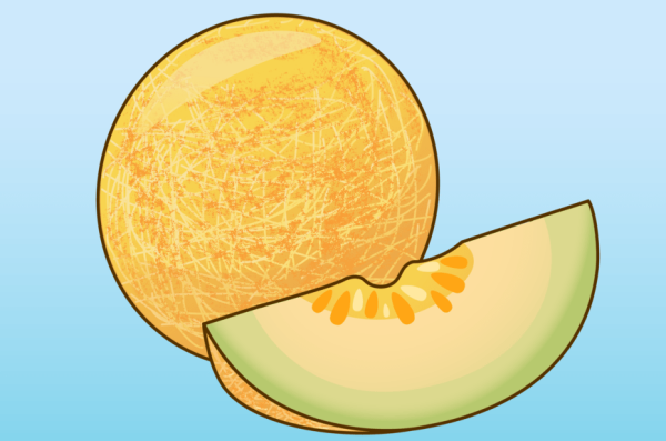 Дыня аппликация