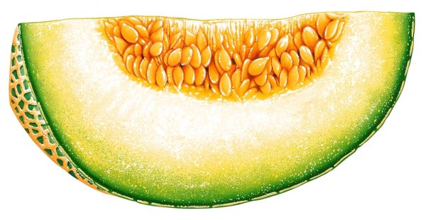 Долька дыни