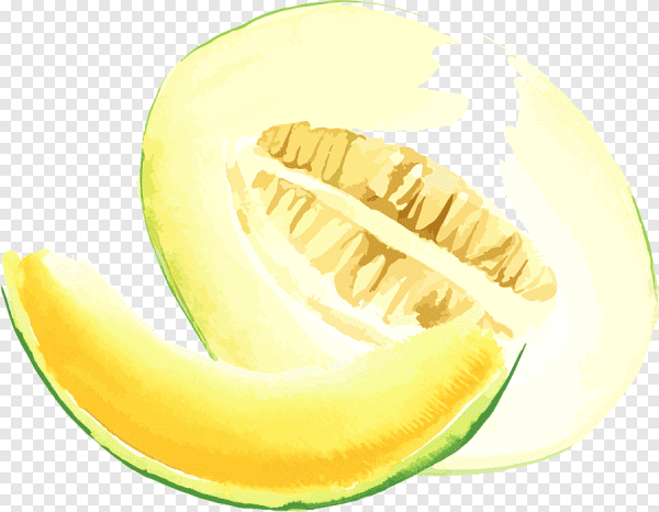 Дыня логотип