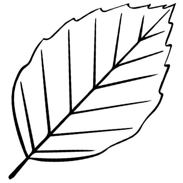 Трафареты "листья"