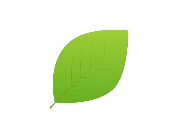 Листья деревьев раскраска