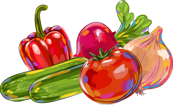 Овощи фрукты вектор