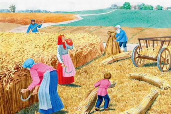 Уборка хлеба в старину