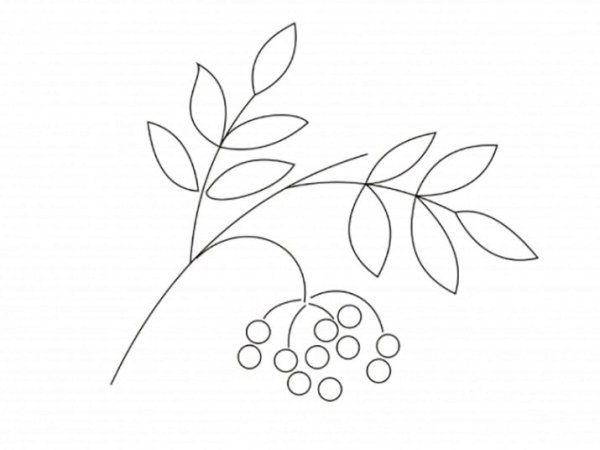 Рисование в средней группе на тему кисть Рябинки гроздь Калинки