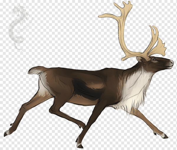 Олень раскраска