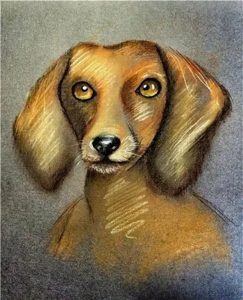 Каштанка (с иллюстрациями)