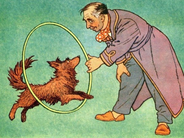 Каштанка рисунок к рассказу Чехова