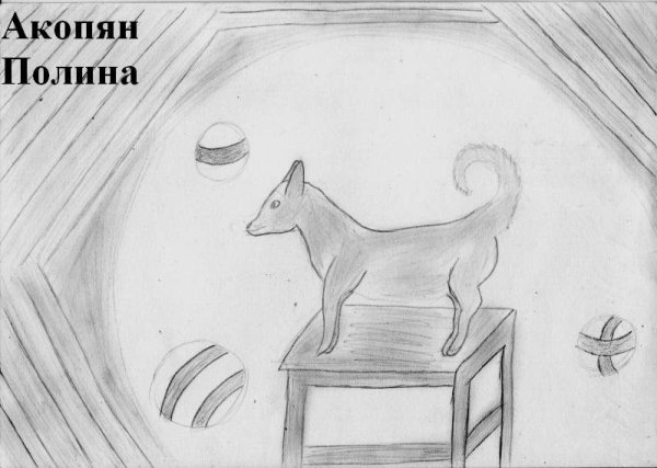 Иллюстрация к рассказу каштанка