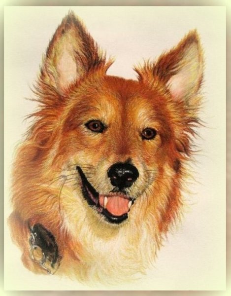 Рисунок к рассказу каштанка